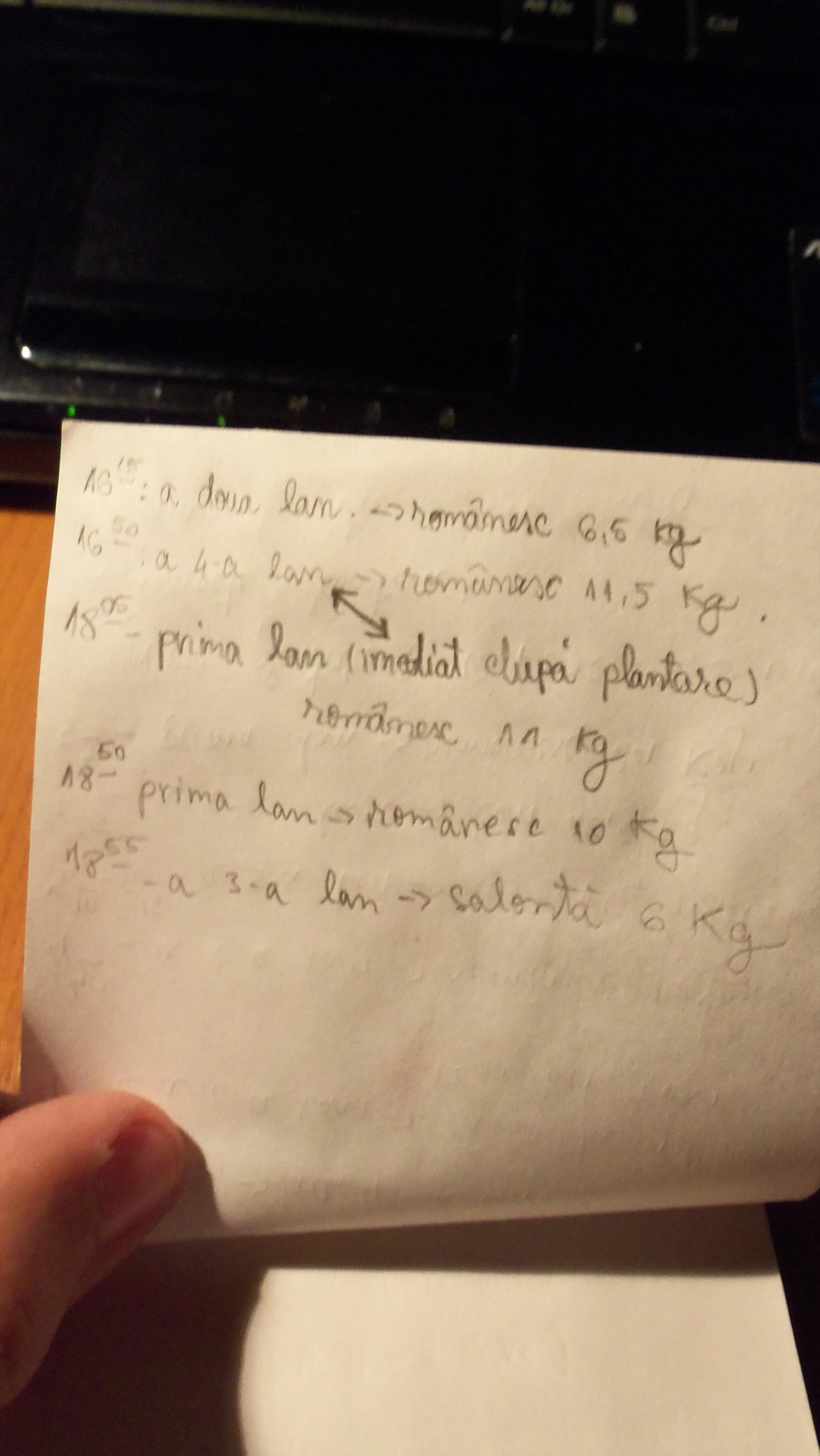 Pro Team - 1021683.JPG